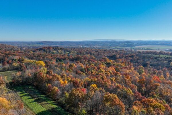 spyderdronesfreelance0072